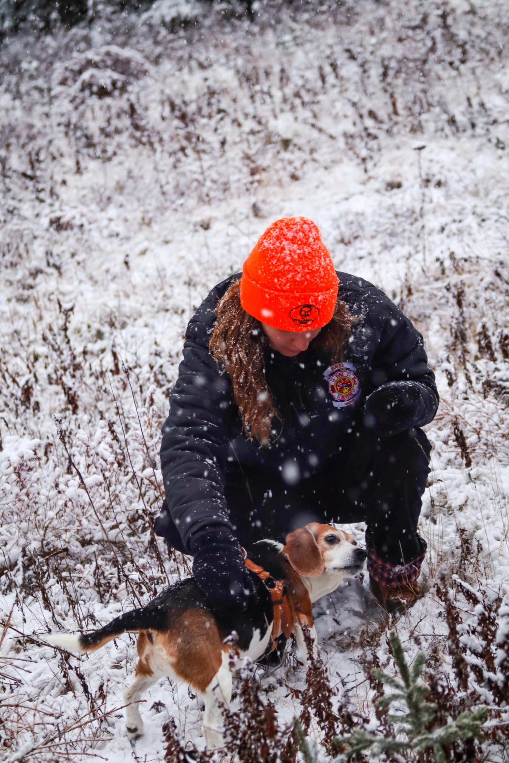 Beagle dog and owner playing in a snowy field during heavy snowfall.
