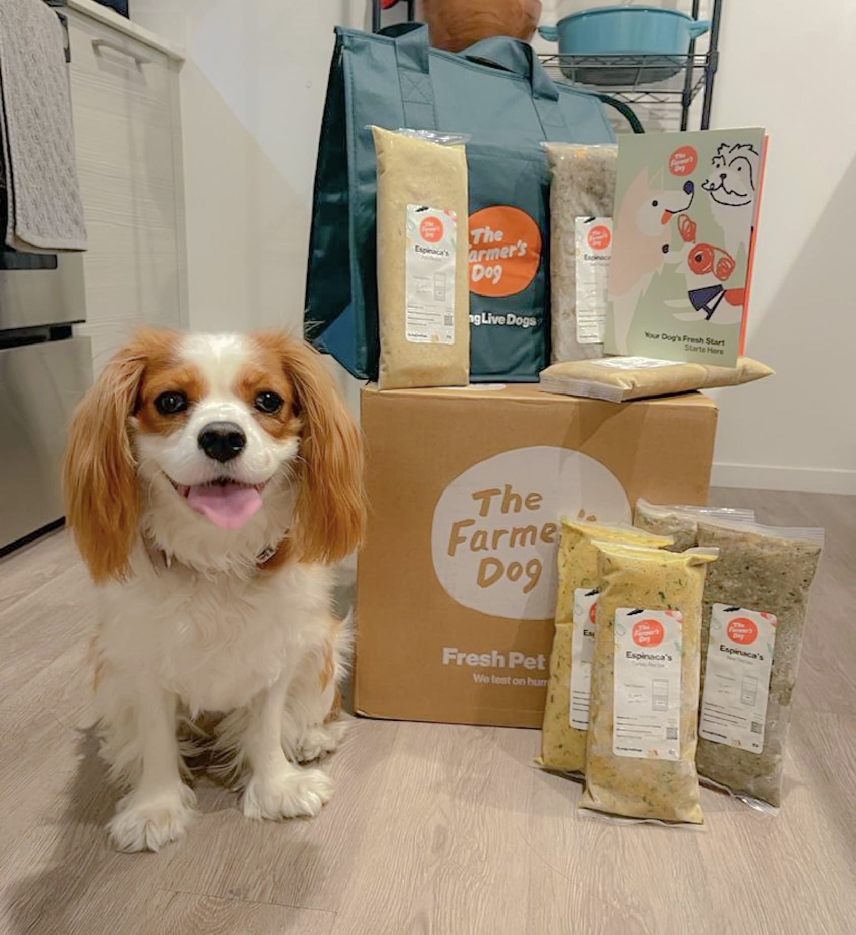 Happy Cavalier King Charles Spaniel sitting next to The Farmer’s Dog box and fresh meal packages.