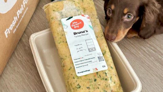 Mini dachshund lies next to a turkey recipe meal pack from The Farmer’s Dog on a wooden floor beside branded delivery items.