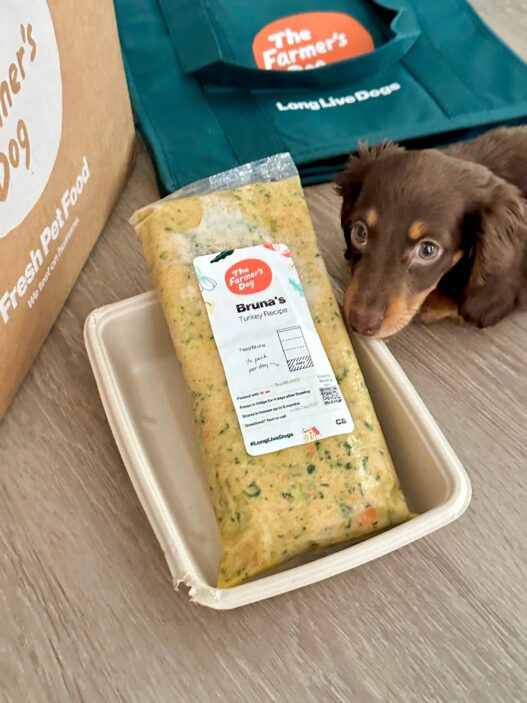 Mini dachshund lies next to a turkey recipe meal pack from The Farmer’s Dog on a wooden floor beside branded delivery items.