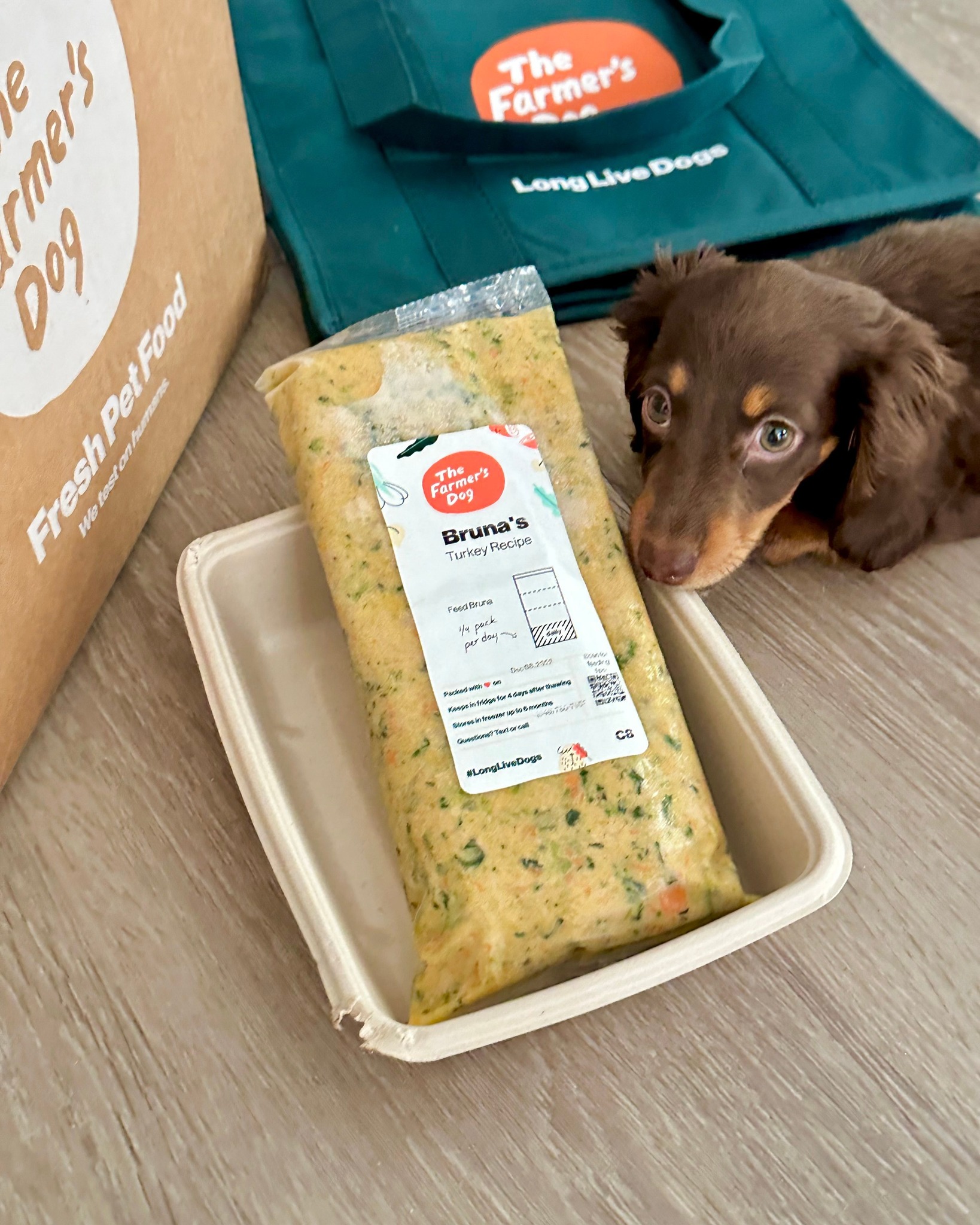 Mini dachshund lies next to a turkey recipe meal pack from The Farmer’s Dog on a wooden floor beside branded delivery items.