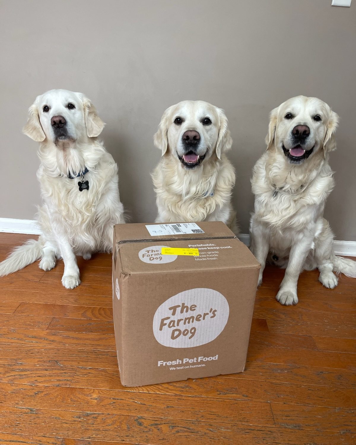 Three happy Golden Retrievers sitting behind a box of The Farmer’s Dog fresh pet food on a wooden floor indoors.