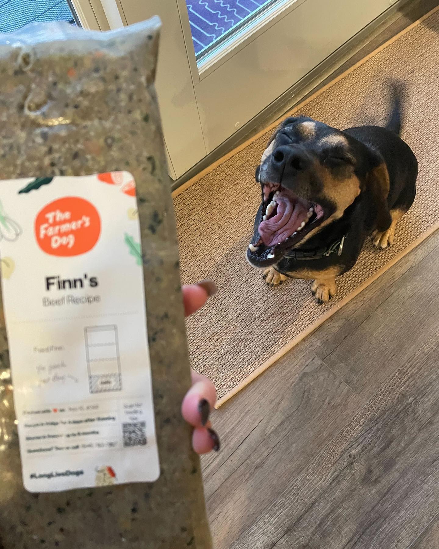 Excited dog smiling with a Farmer’s Dog beef recipe package held in front.