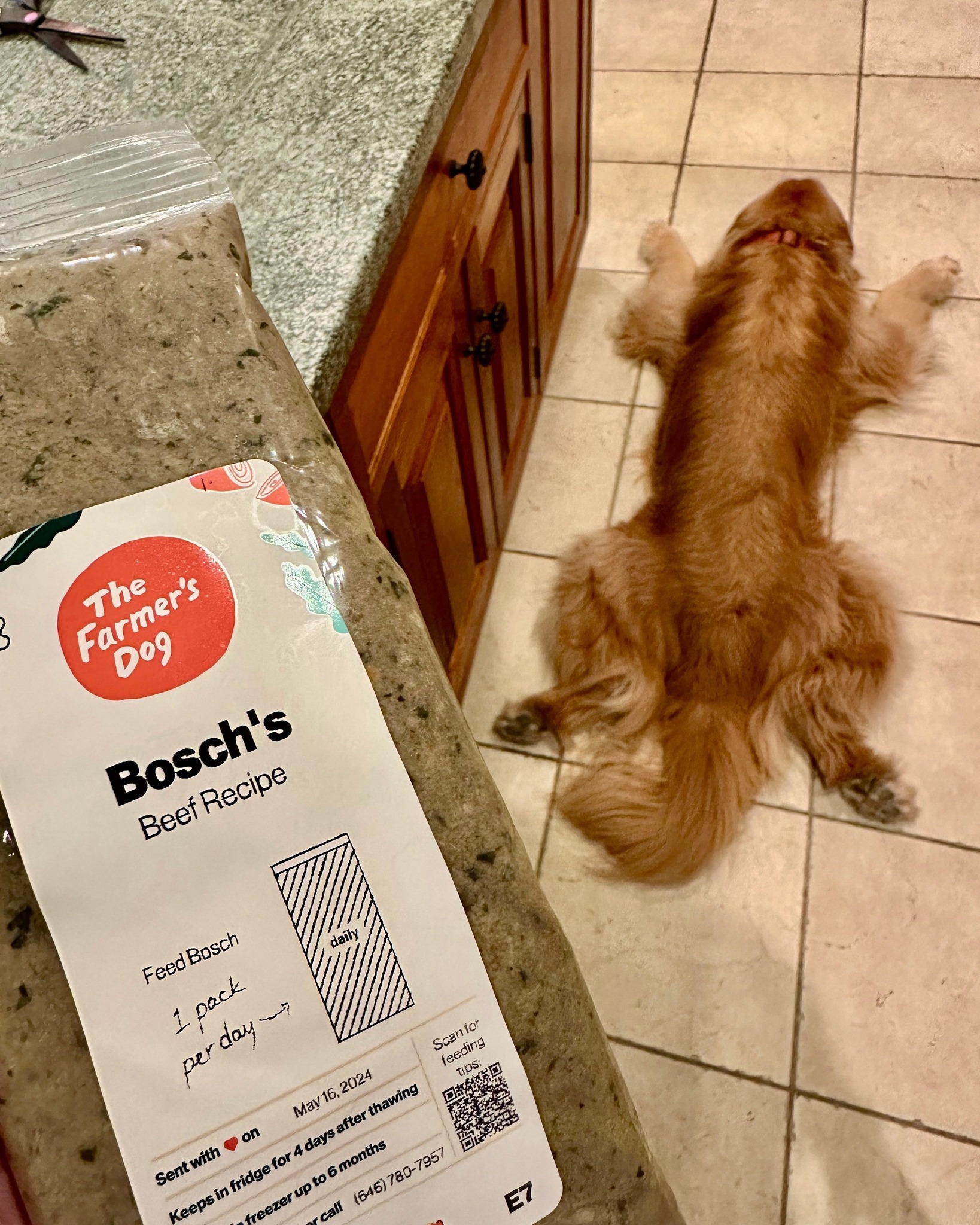 Golden Retriever laying sprawled on a kitchen floor behind a Farmer’s Dog beef recipe pouch labeled “Bosch’s”.