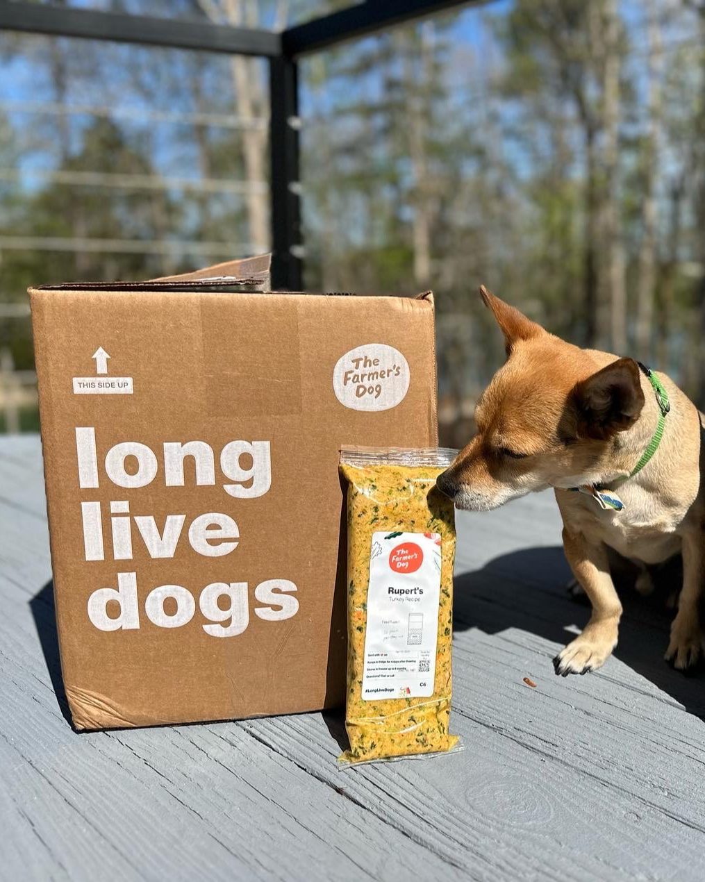 Small dog sniffing The Farmer’s Dog turkey recipe pack next to a box with “long live dogs” slogan.