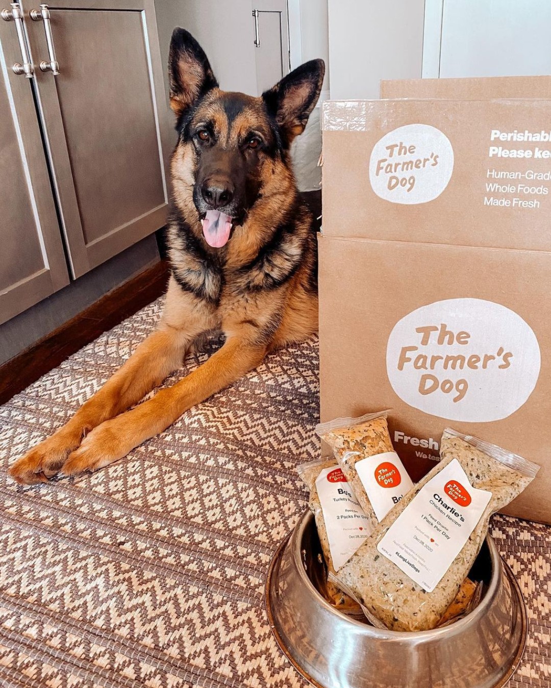 German Shepherd lying next to The Farmer’s Dog delivery boxes and a bowl filled with food packs