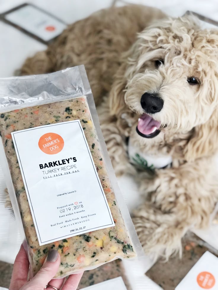 Happy dog lying on the floor next to a pack of The Farmer's Dog Barkley's turkey recipe