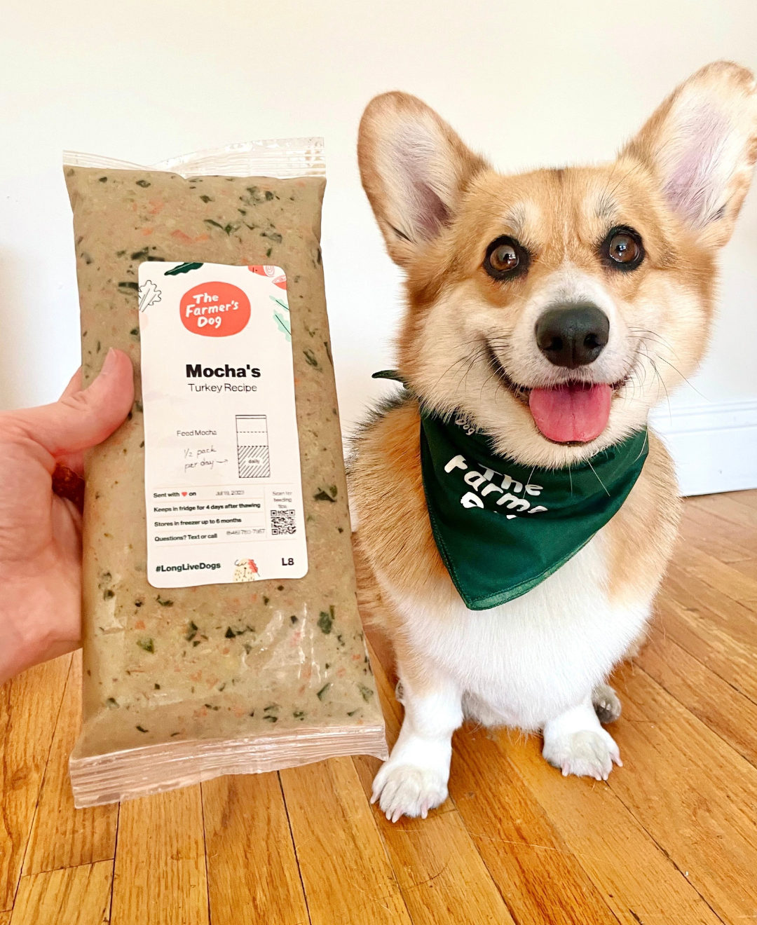 Corgi dog smiling next to a package of The Farmer’s Dog Turkey Recipe food labeled Mocha’s.