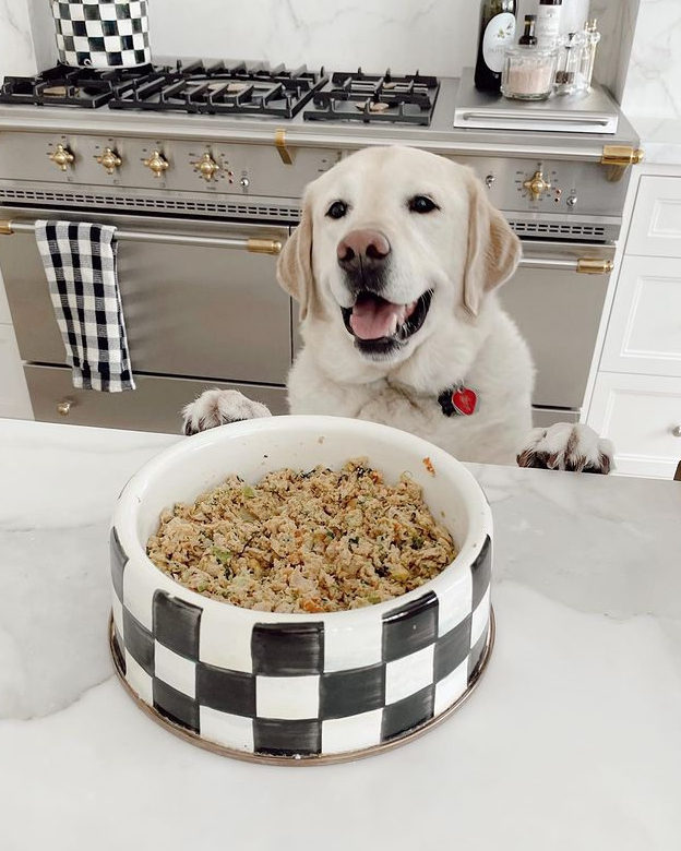 Golden Labrador excited in a kitchen behind a checkered dog bowl filled with The Farmer’s Dog fresh food.