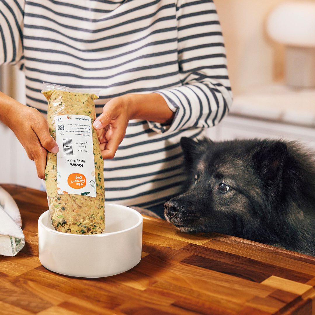 Person pouring The Farmer’s Dog Turkey Recipe food into a bowl while black fluffy dog watches eagerly.