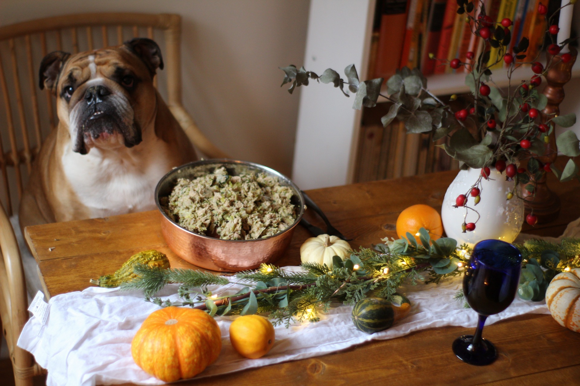 Bulldog sitting at a decorated table with a bowl of The Farmer's Dog fresh food