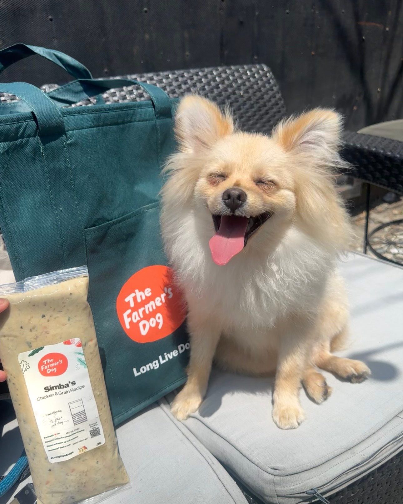 Happy Pomeranian next to The Farmer’s Dog tote bag and a pack of fresh dog food.