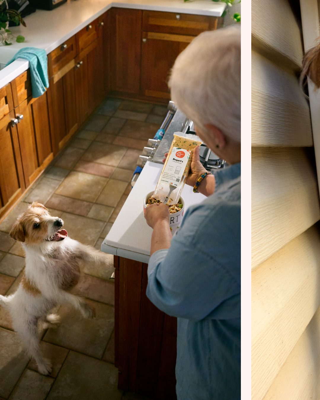 Dog eagerly watching owner scoop The Farmer’s Dog fresh food into a bowl in the kitchen.