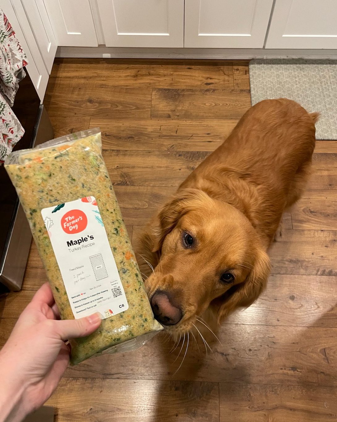 Golden Retriever sniffing a pack of The Farmer’s Dog Turkey Recipe labeled “Maple’s” in a kitchen.