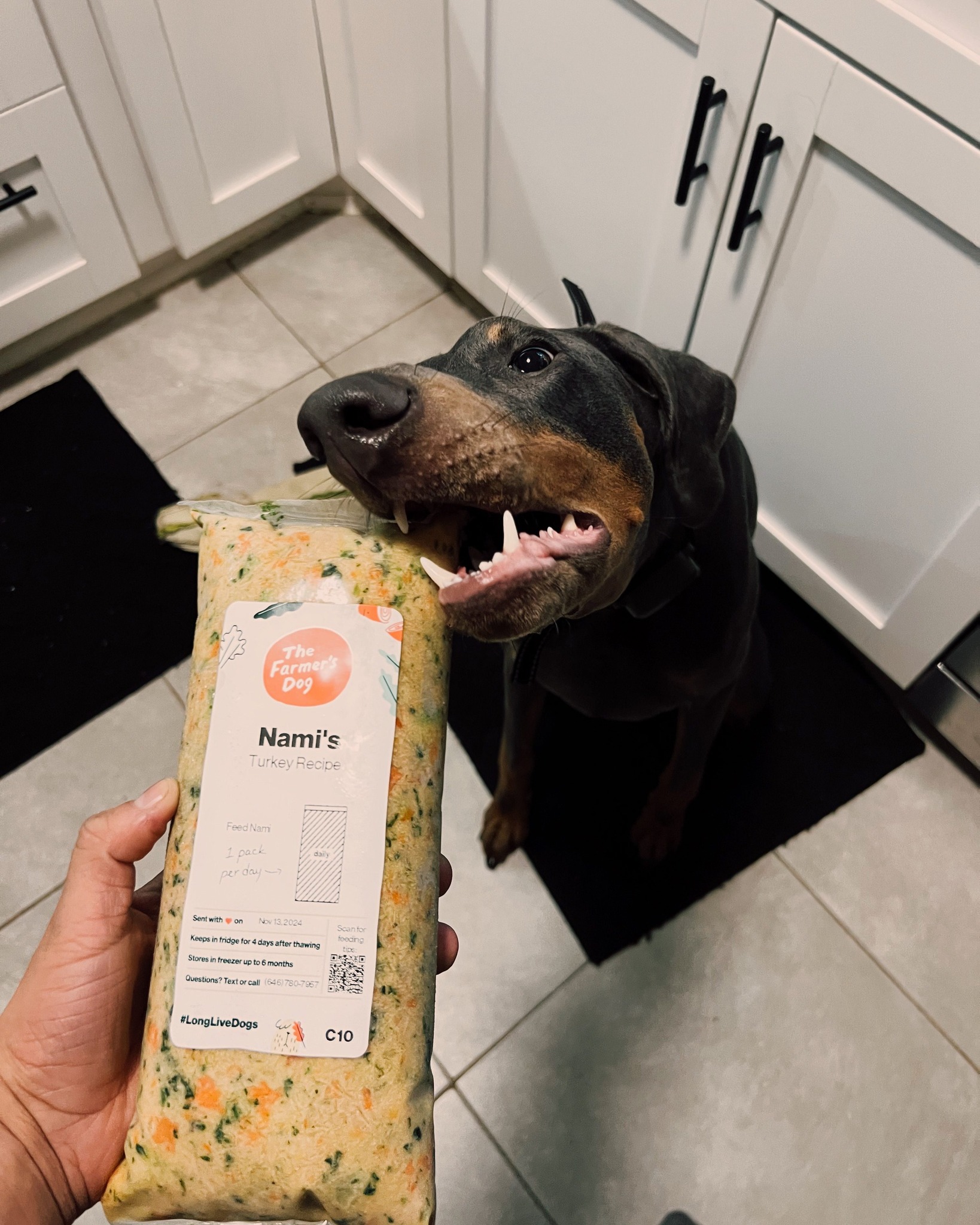 Excited Doberman next to a pack of The Farmer’s Dog Turkey Recipe labeled “Nami’s.”