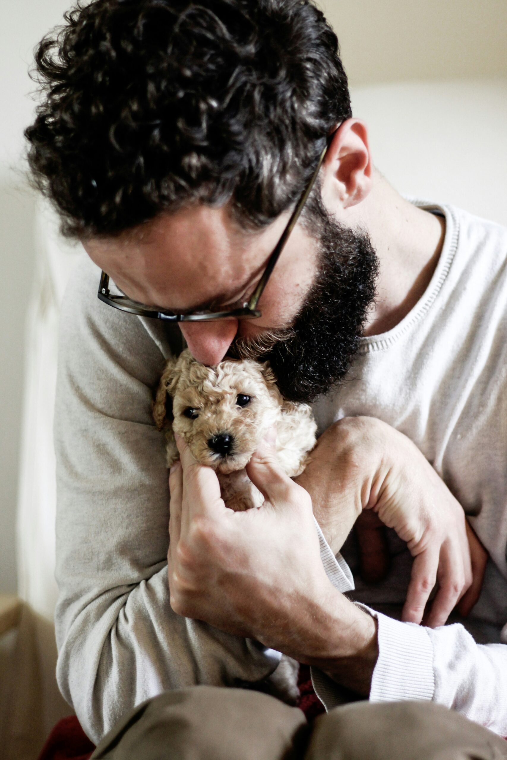 Man with a beard cuddling a tiny cream poodle puppy lovingly.