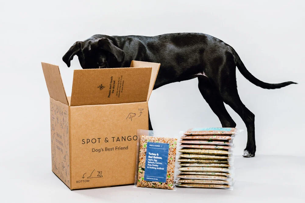 Black Labrador Retriever exploring a Spot & Tango delivery box with fresh meal packs, highlighting nutritious dog food options.