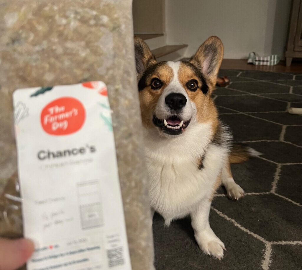 Happy Pembroke Welsh Corgi sitting next to a pack of The Farmer’s Dog fresh chicken recipe, highlighting healthy, vet-developed meals for small-to-medium breeds.