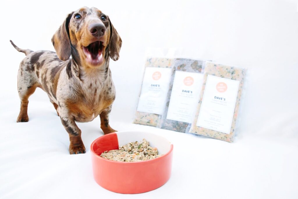 Happy Dachshund standing next to a bowl of The Farmer’s Dog fresh food, highlighting healthy, vet-approved meals for small breeds.