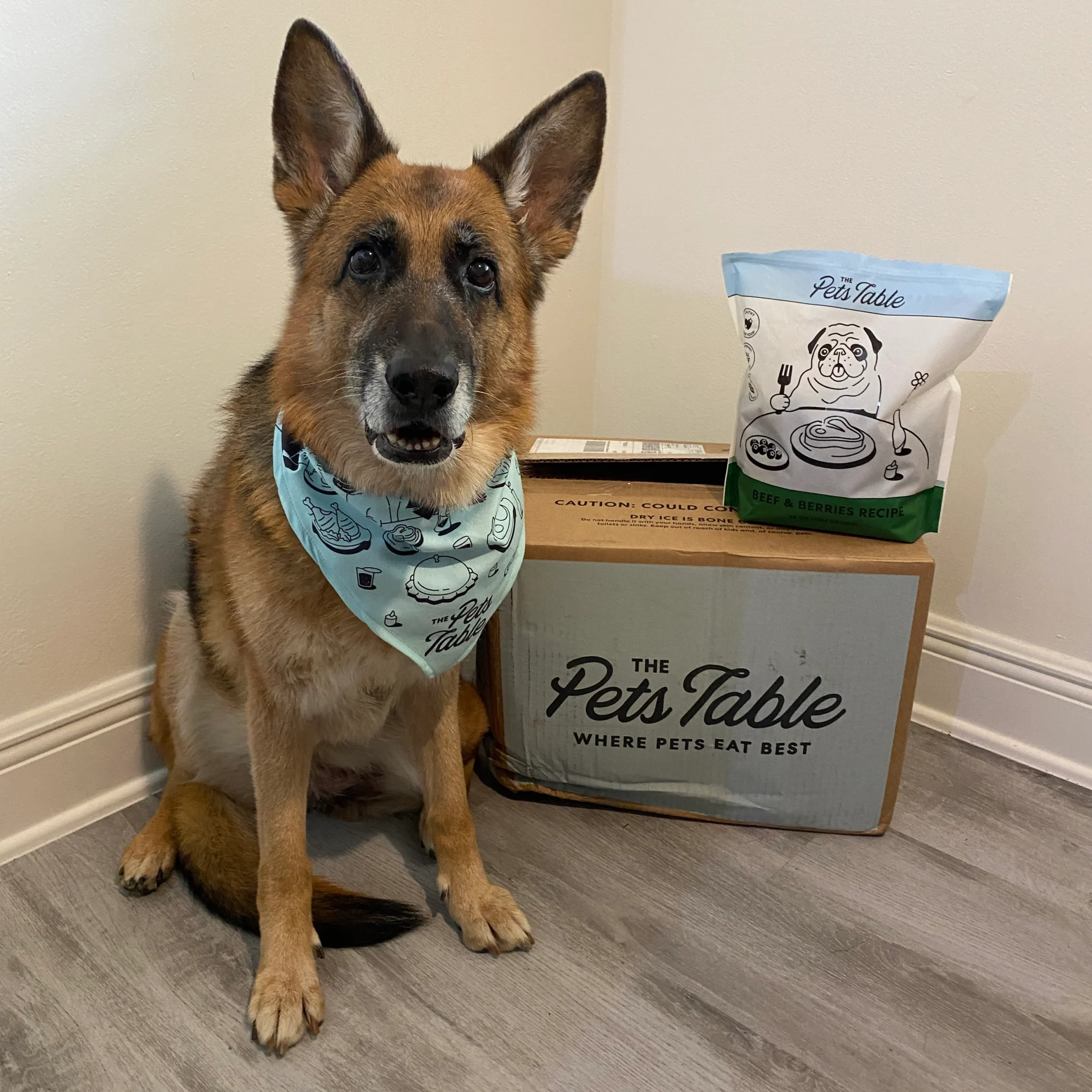 German Shepherd wearing a The Pets Table bandana next to a delivery box and fresh dog food pack, highlighting healthy air-dried and fresh meals.