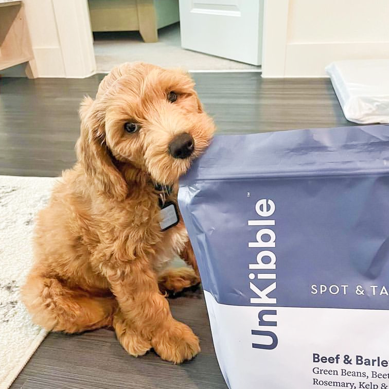 Fluffy doodle puppy sitting next to Spot & Tango UnKibble bag in a bright indoor setting