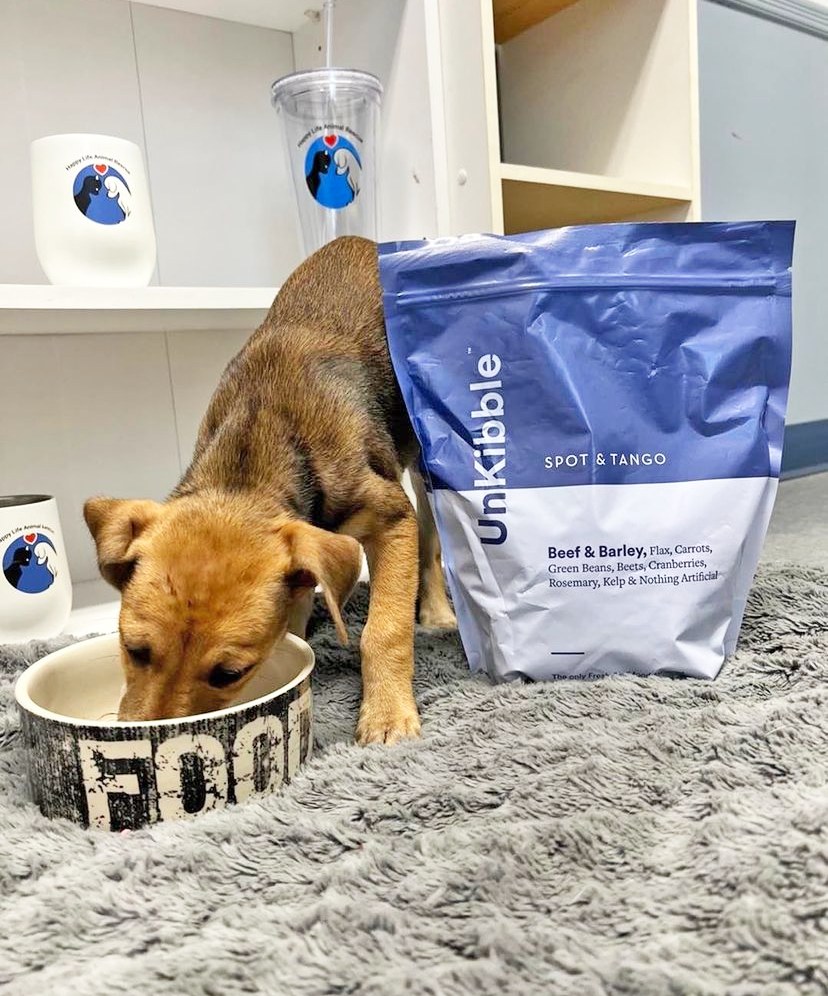 Small puppy eating from a food bowl next to a bag of Spot & Tango UnKibble Beef & Barley on a grey rug