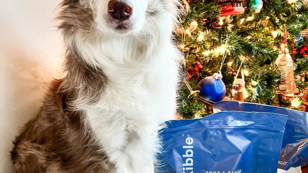 Border Collie dog posing next to two large bags of Spot & Tango UnKibble in front of a decorated Christmas tree