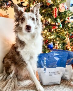 Border Collie dog posing next to two large bags of Spot & Tango UnKibble in front of a decorated Christmas tree