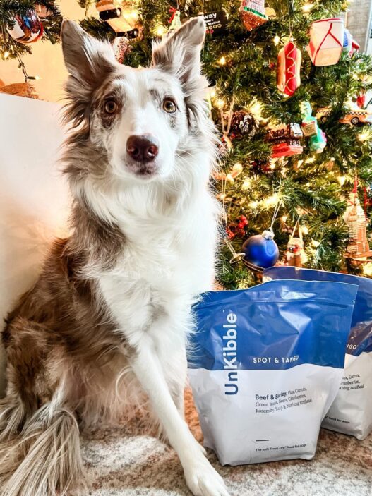 Border Collie dog posing next to two large bags of Spot & Tango UnKibble in front of a decorated Christmas tree