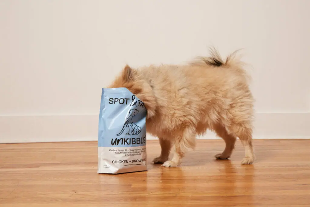 Small fluffy dog with head inside a Spot & Tango UnKibble Chicken & Brown Rice bag on wooden floor