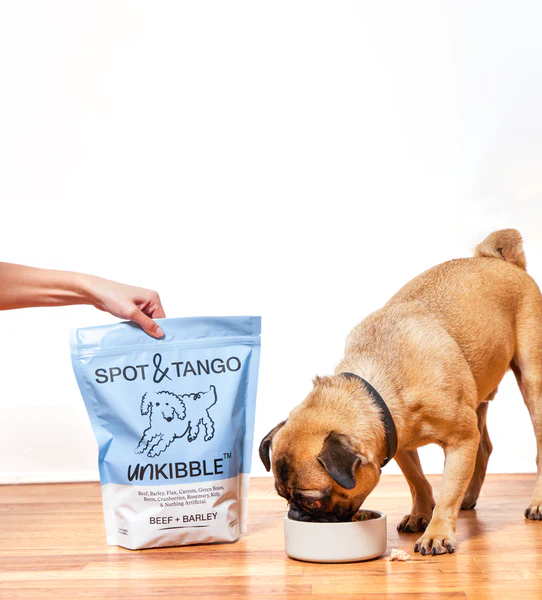 Small tan dog eating from a bowl while a person holds a bag of Spot & Tango UnKibble Beef & Barley recipe on a hardwood floor