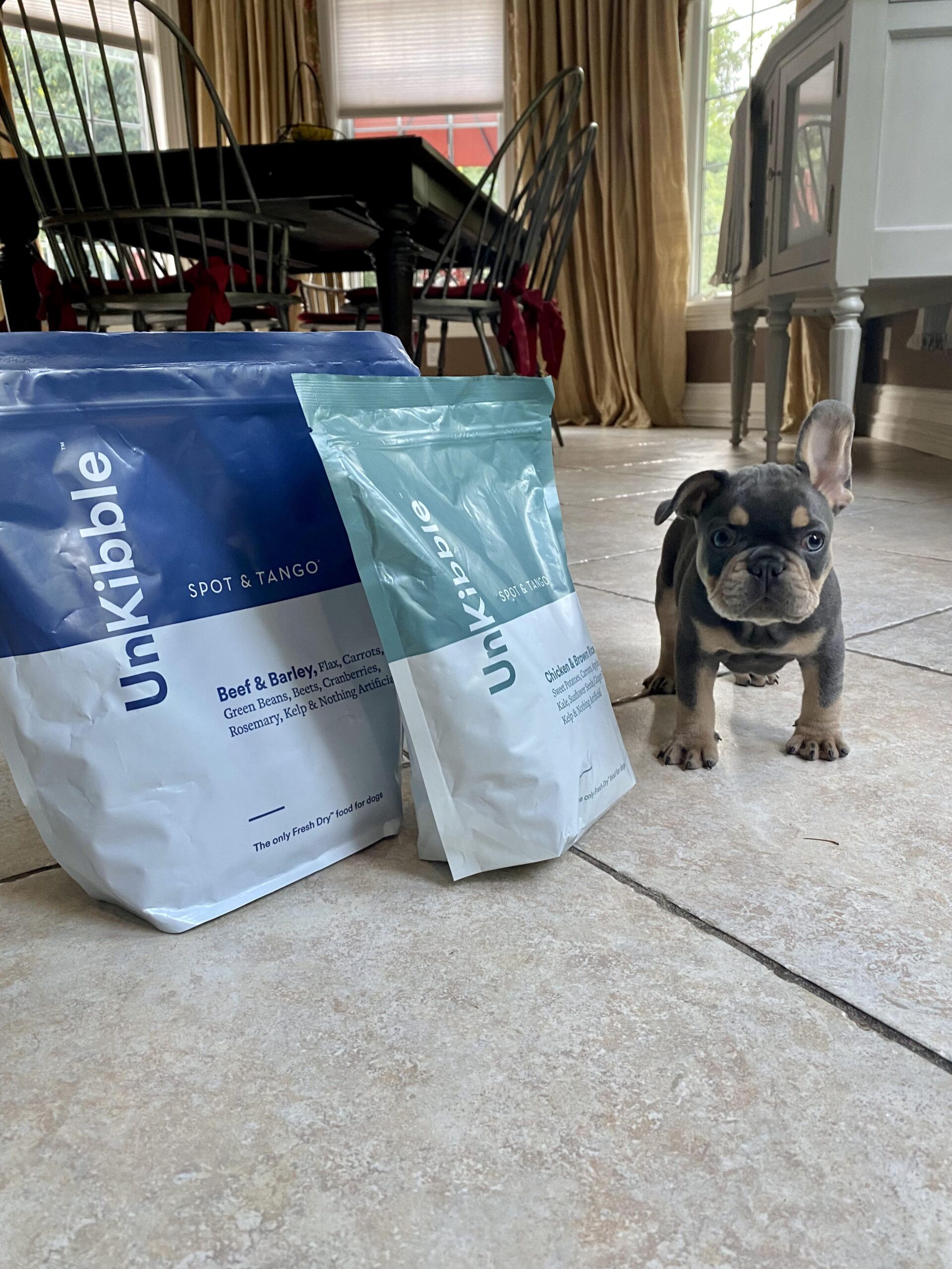 French Bulldog puppy standing beside two different Spot & Tango UnKibble recipes on a tiled kitchen floor