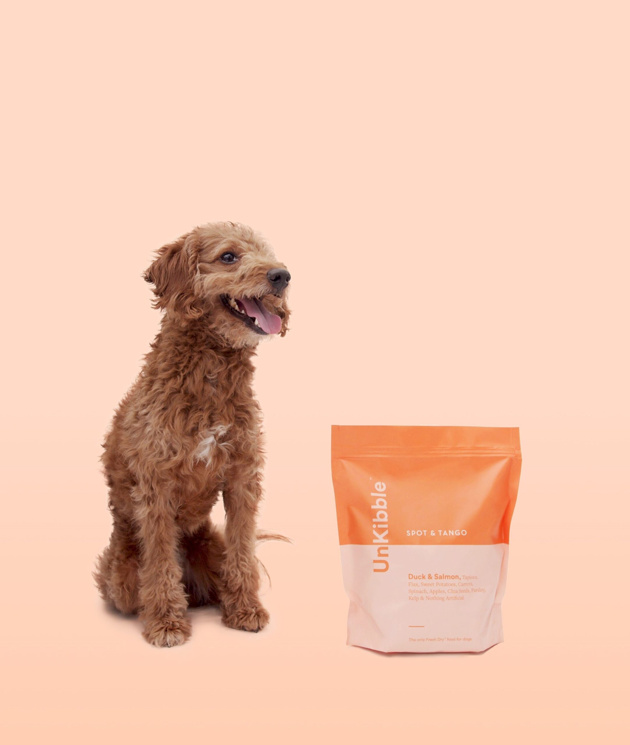 Happy curly-coated dog sitting next to a bag of Spot & Tango UnKibble Duck & Salmon recipe on a peach-colored background