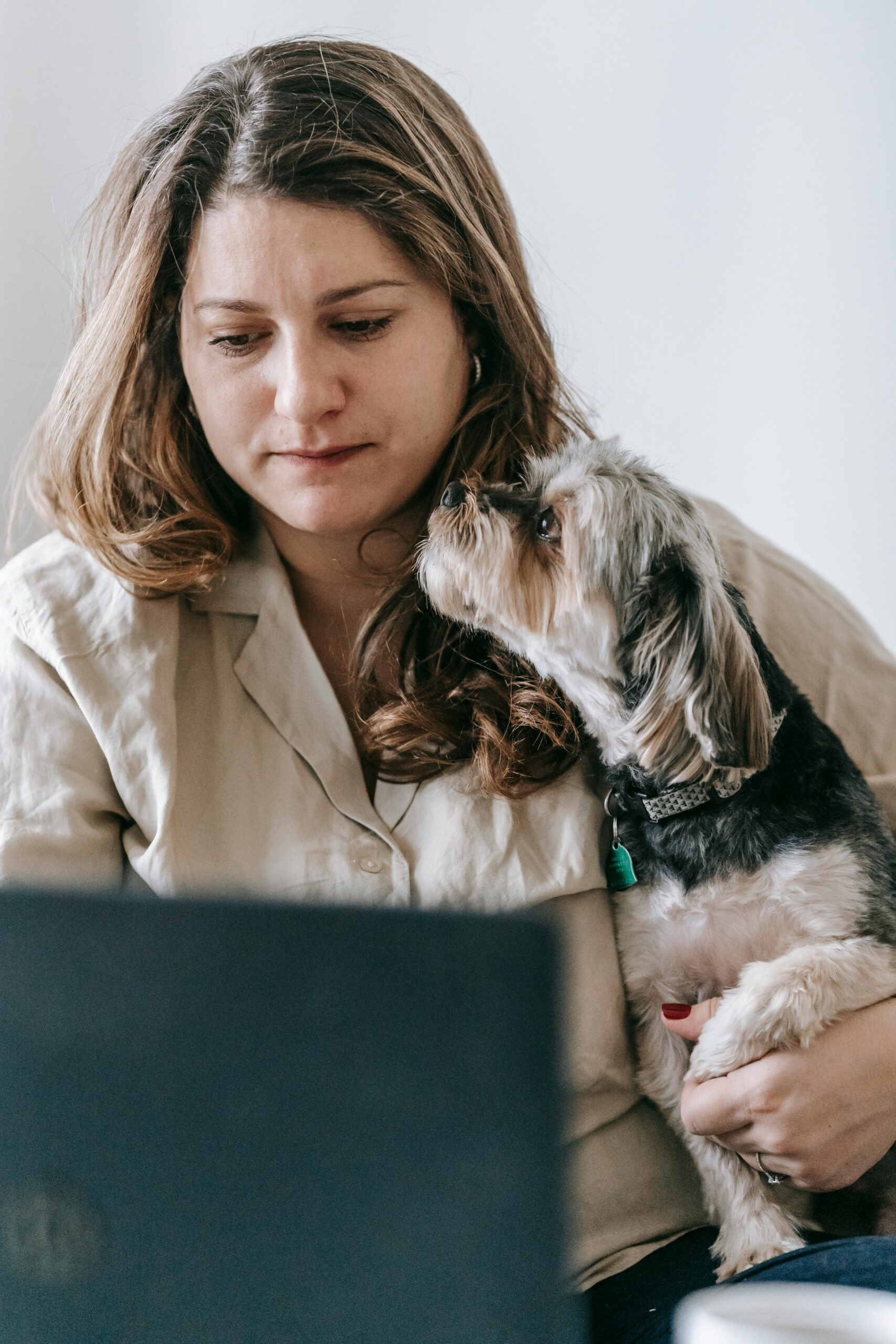 Close-up of a Yorkshire Terrier being held by a woman working on a laptop, the dog gazing up affectionately