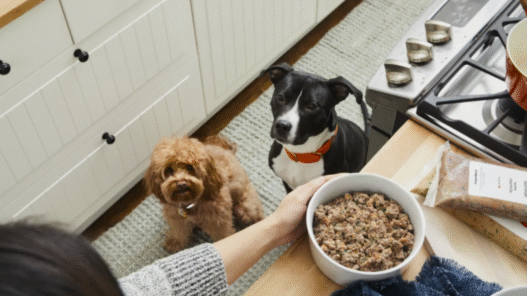 Does the Farmer's dog food expire?