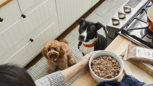 Does the Farmer's dog food expire?