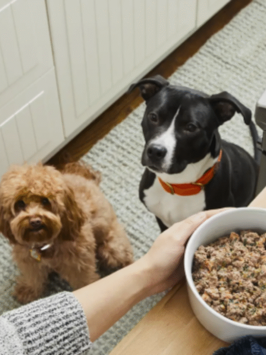 Does the Farmer's dog food expire?