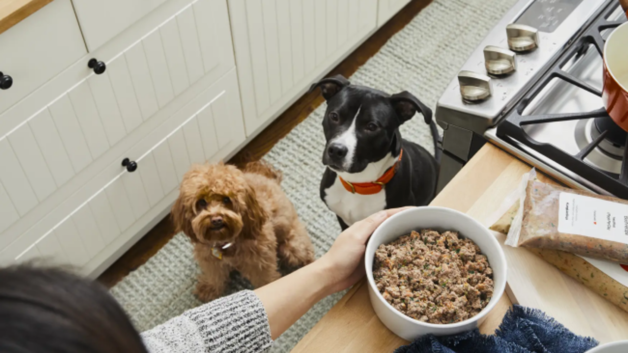 Does the Farmer's dog food expire?