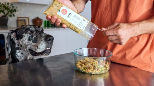 Is Farmer's Dog AAFCO approved?
