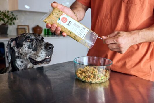 Is Farmer's Dog AAFCO approved?