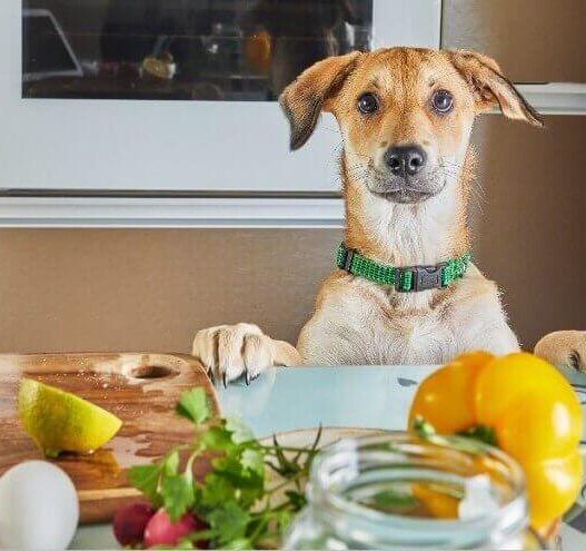 Is The Farmer's Dog keto?