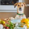 Is The Farmer's Dog keto?