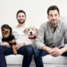 is the farmer's dog made in the USA?