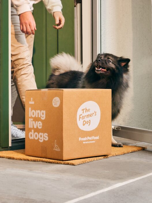 is farmer's dog available in stores?