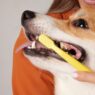 Is Farmer's Dog bad for teeth?