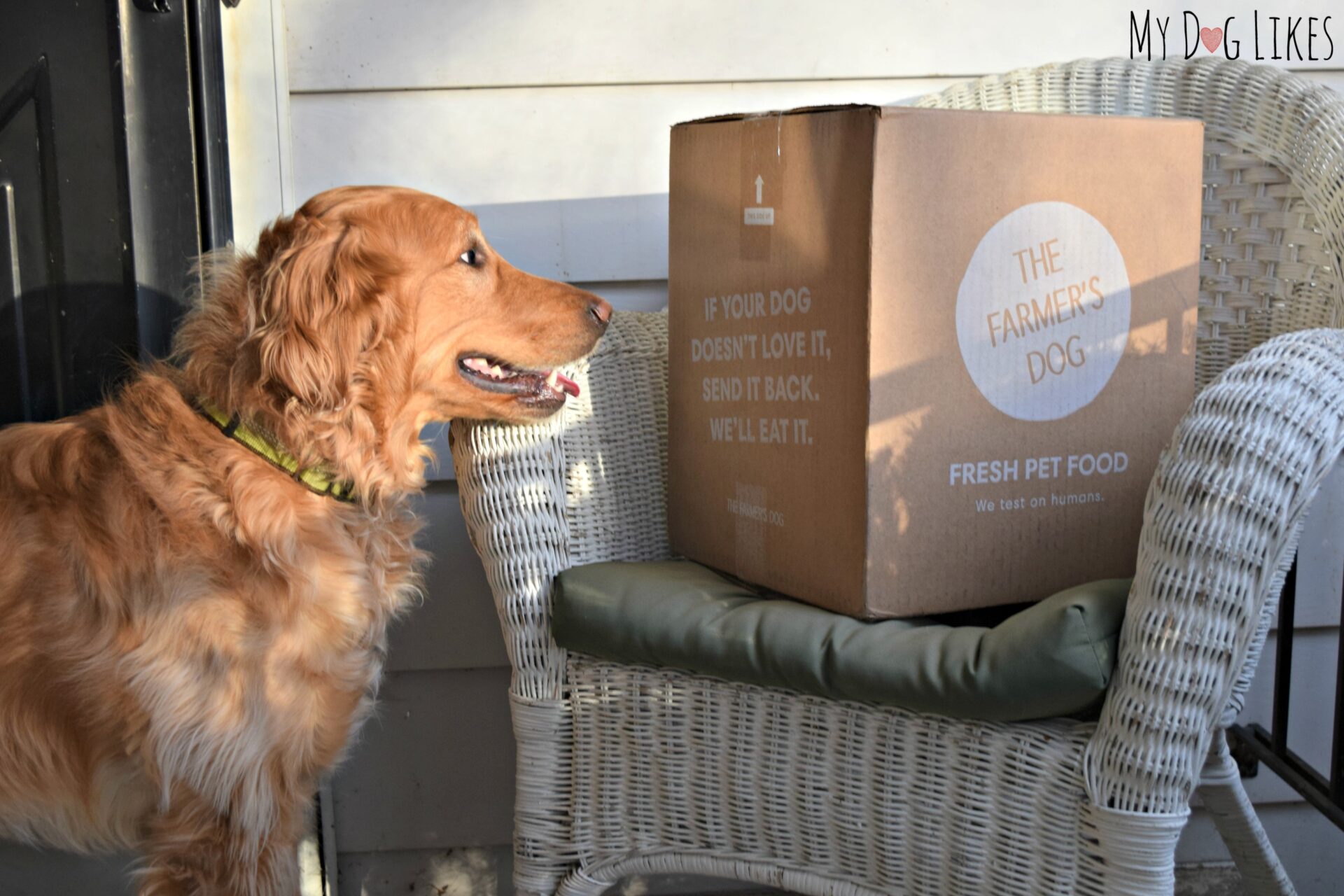 is the farmer's dog subscription easy to cancel?