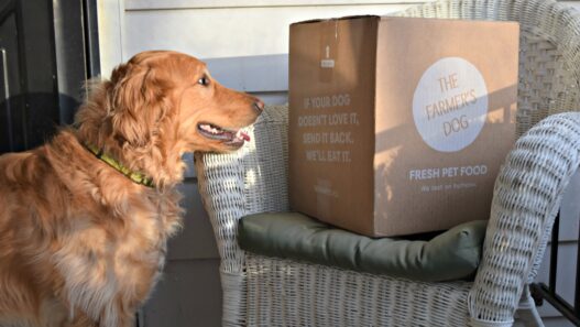 is the farmer's dog subscription easy to cancel?
