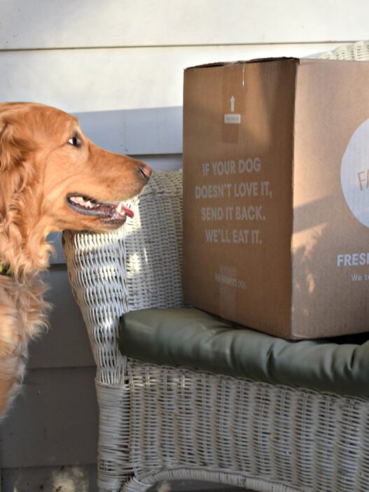 is the farmer's dog subscription easy to cancel?