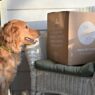 is the farmer's dog subscription easy to cancel?
