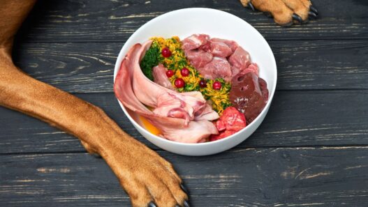 is the farmer's dog food raw?